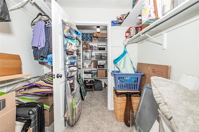 spacious closet featuring light colored carpet