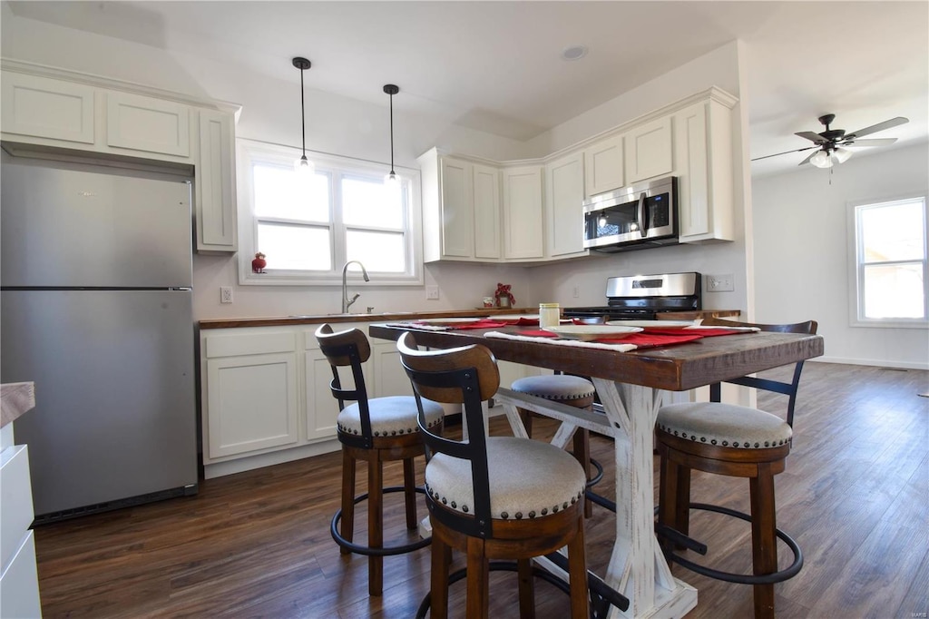 kitchen with hanging light fixtures, dark hardwood / wood-style flooring, stainless steel appliances, and a wealth of natural light