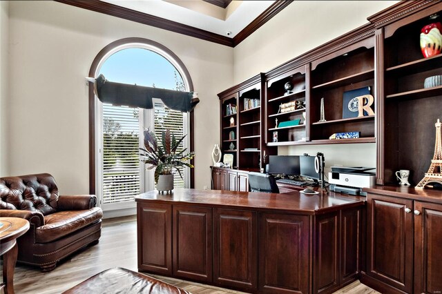 office area featuring ornamental molding and light hardwood / wood-style floors