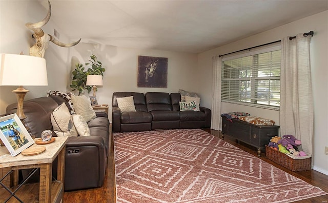 living room featuring dark hardwood / wood-style floors