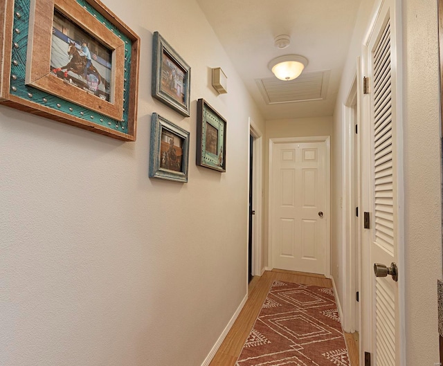 hallway featuring hardwood / wood-style flooring