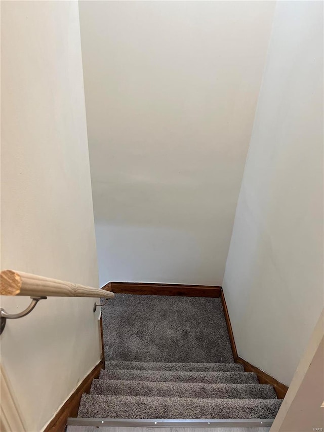 stairs with carpet floors