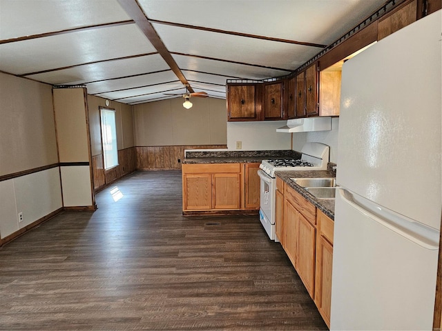 kitchen with ceiling fan, dark hardwood / wood-style floors, and white appliances