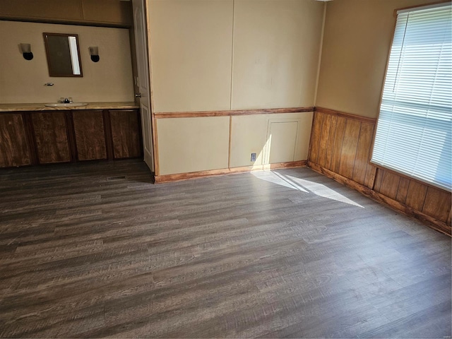 empty room featuring dark wood-type flooring and sink