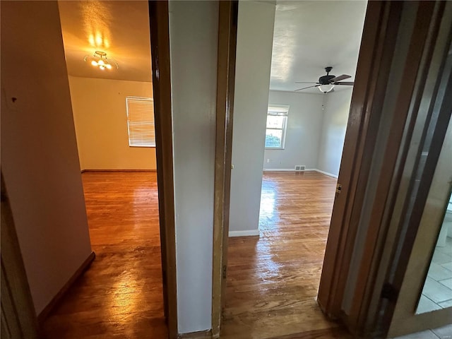 corridor with wood-type flooring