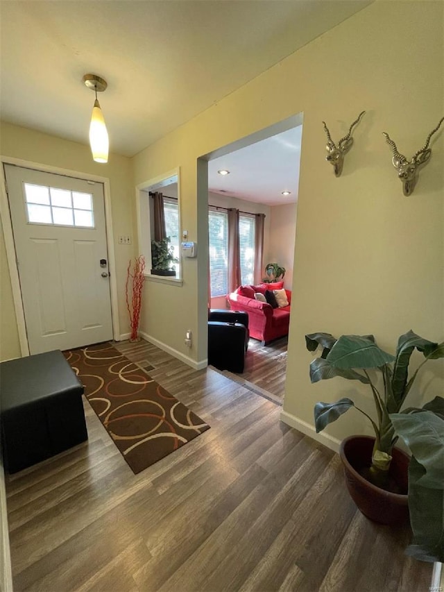 entryway with hardwood / wood-style flooring