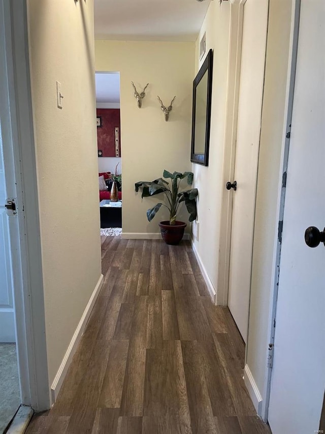 corridor featuring dark wood-type flooring