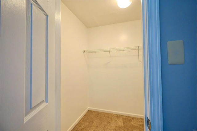 walk in closet featuring carpet floors