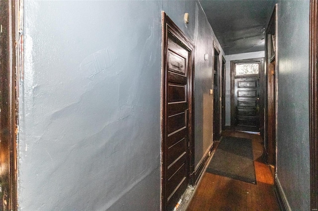 corridor with dark hardwood / wood-style floors