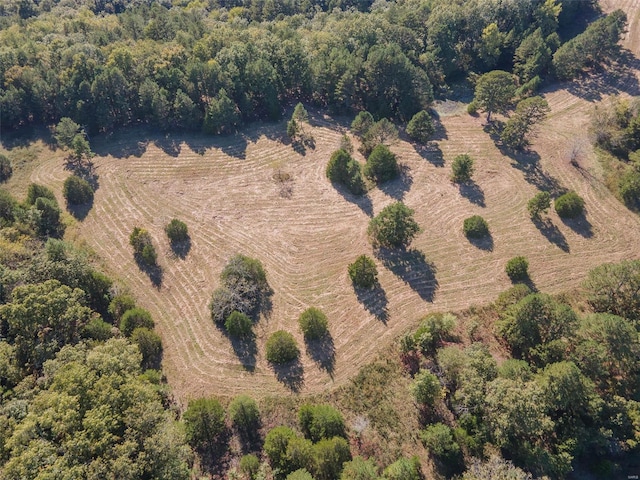 birds eye view of property with a rural view