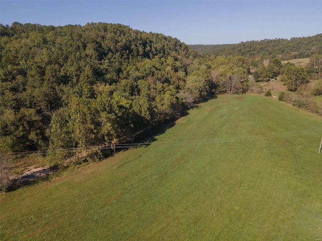 bird's eye view