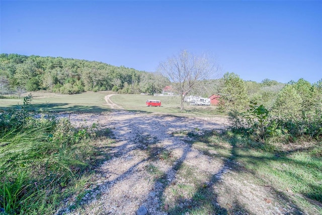 view of yard featuring a rural view