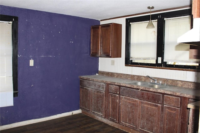 kitchen featuring dark brown cabinets, dark hardwood / wood-style flooring, pendant lighting, and sink