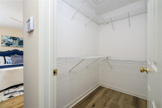 spacious closet featuring wood-type flooring