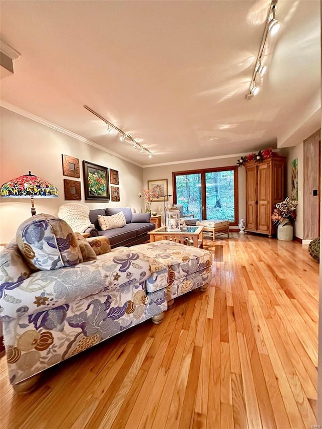 bedroom with ornamental molding, light hardwood / wood-style floors, and track lighting