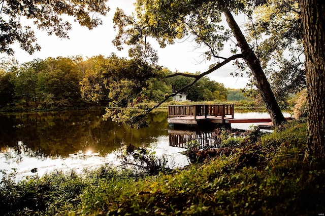 dock area with a water view