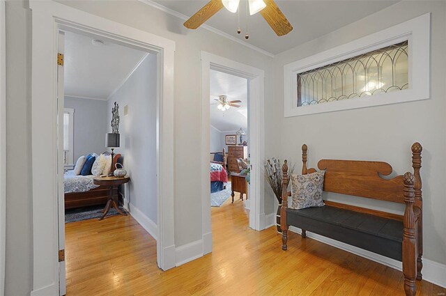 hall featuring light hardwood / wood-style flooring and ornamental molding