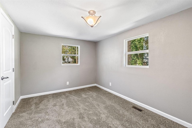 unfurnished room featuring carpet floors and plenty of natural light