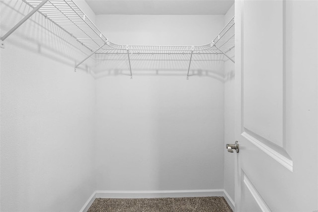 spacious closet with carpet