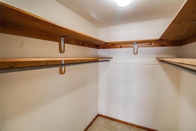 walk in closet featuring carpet floors