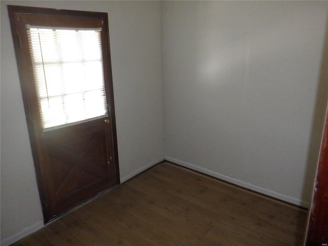 entryway featuring dark hardwood / wood-style floors