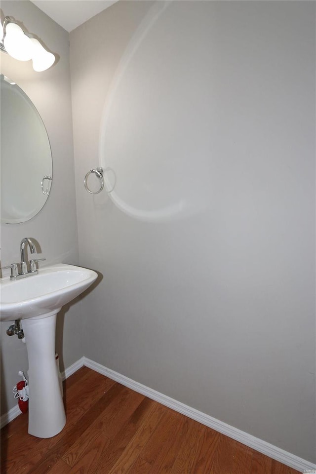 bathroom featuring wood-type flooring