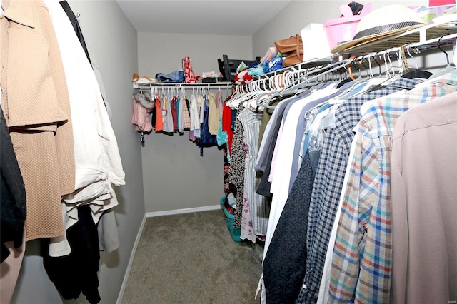 spacious closet featuring carpet