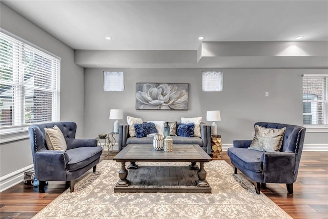 living room featuring hardwood / wood-style flooring