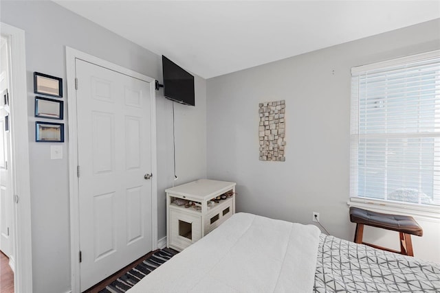 bedroom featuring a closet and dark hardwood / wood-style flooring