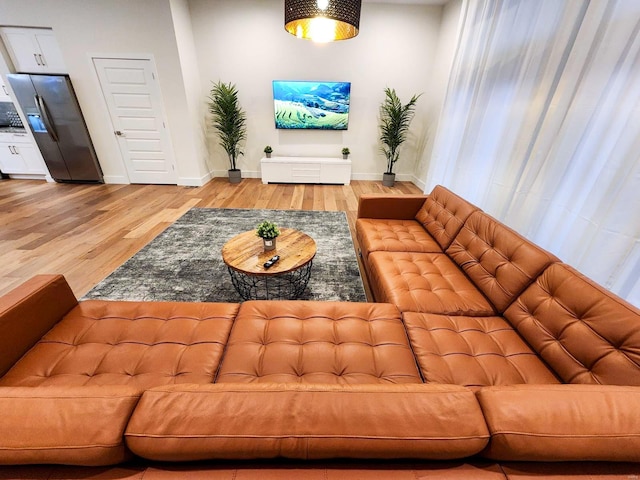 living room with wood-type flooring