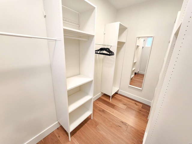 spacious closet featuring light wood-type flooring