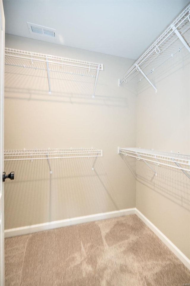 spacious closet featuring carpet flooring