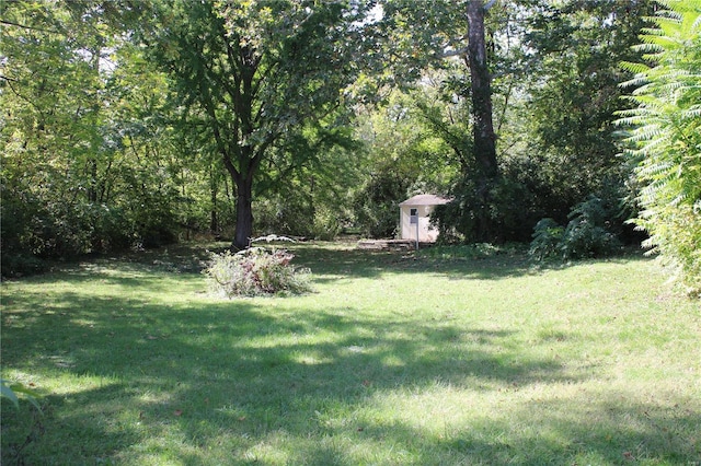 view of yard featuring a shed