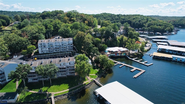 bird's eye view with a water view