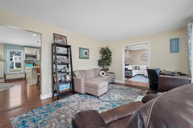 living room featuring dark hardwood / wood-style flooring