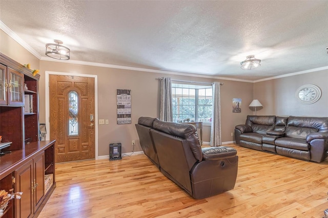 living room with light hardwood / wood-style flooring, a textured ceiling, and crown molding