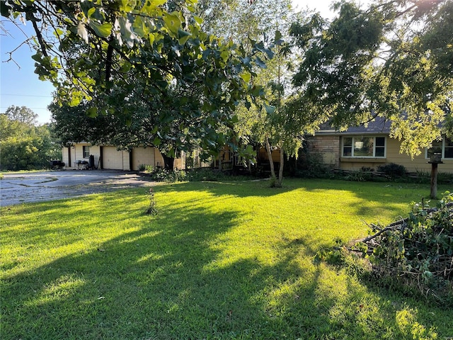 view of yard with a garage