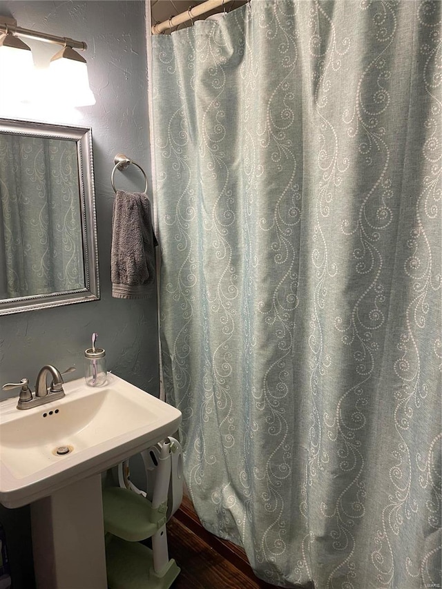 bathroom with hardwood / wood-style floors