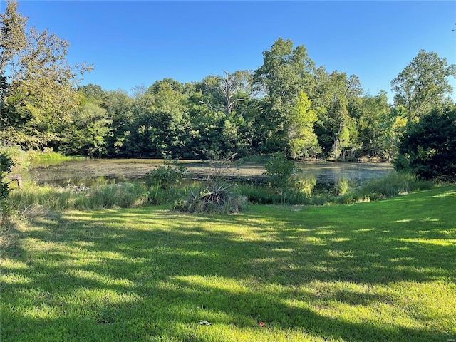 view of yard with a water view