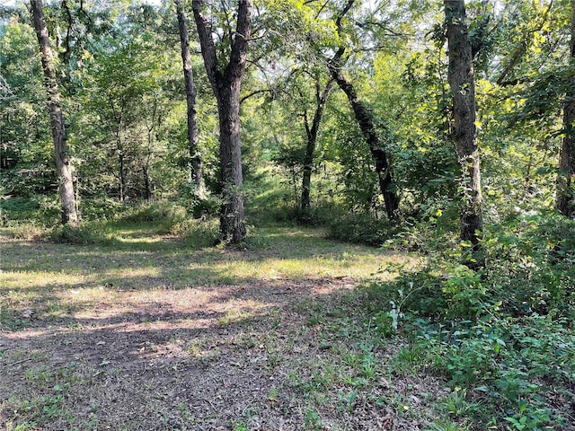 view of local wilderness