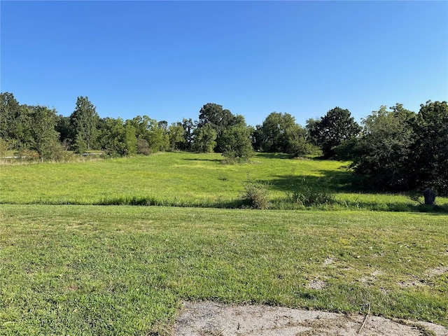 view of nature with a rural view