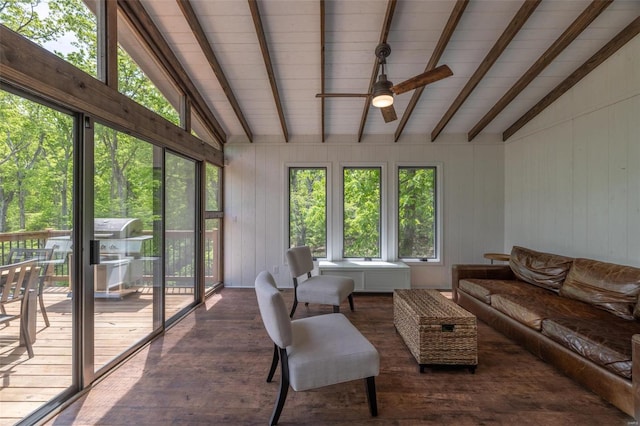 living room with ceiling fan, vaulted ceiling with beams, wooden walls, wooden ceiling, and dark hardwood / wood-style flooring