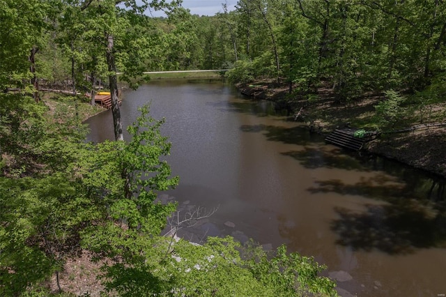 property view of water