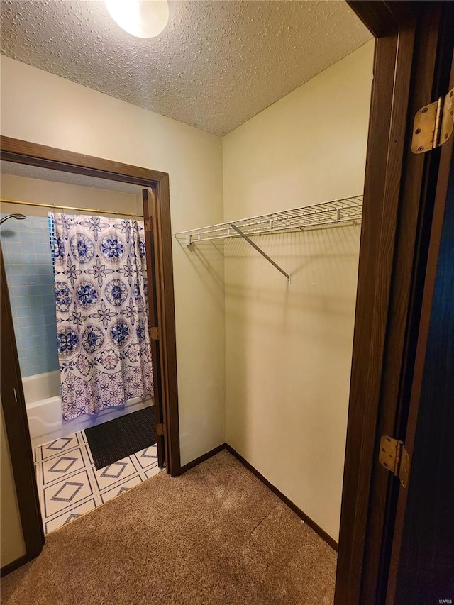 spacious closet featuring light colored carpet