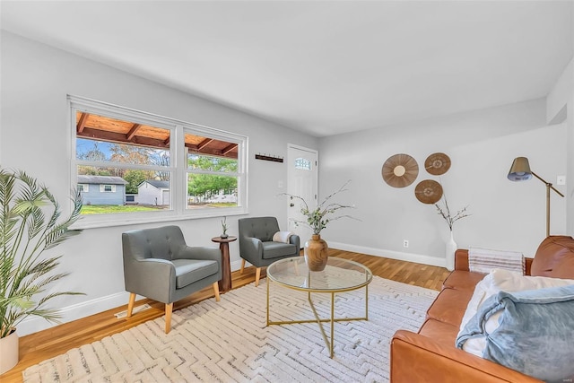 living room with light hardwood / wood-style floors