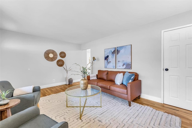 living room with wood-type flooring