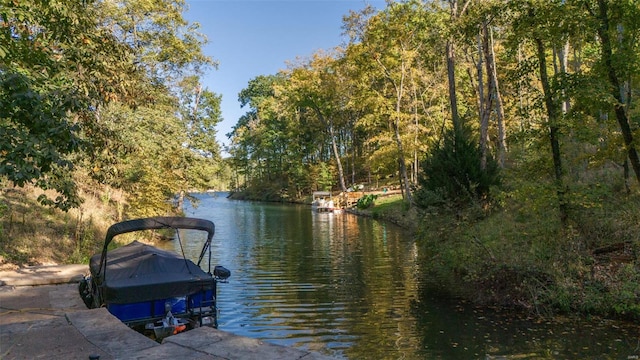 dock area featuring a water view