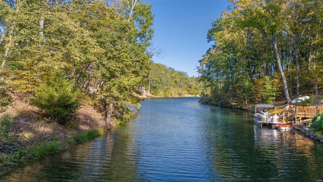 property view of water