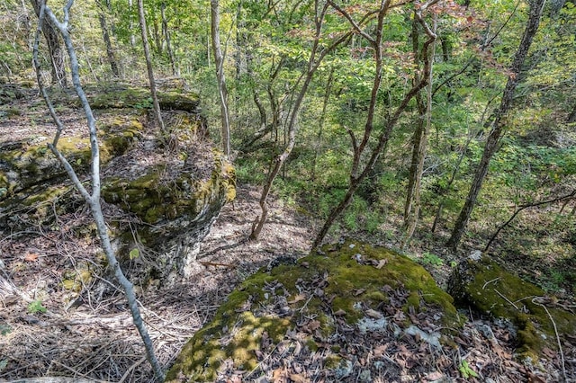 view of landscape