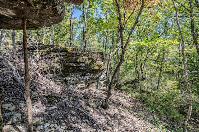 view of local wilderness